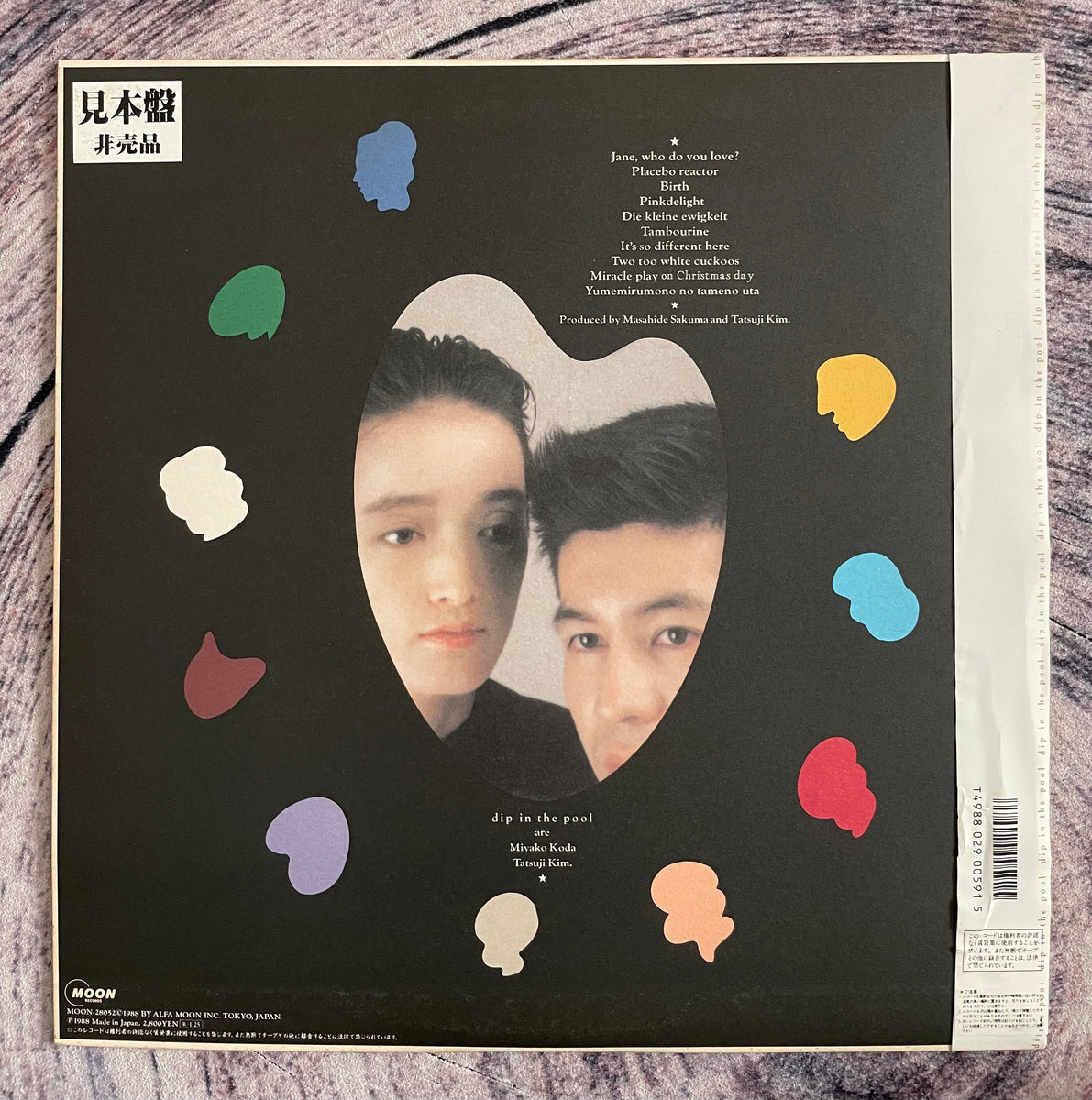 見本盤　10 PALETTES dip in the pool レコード PGjsA_J_2048x.jpg?v=1699257589