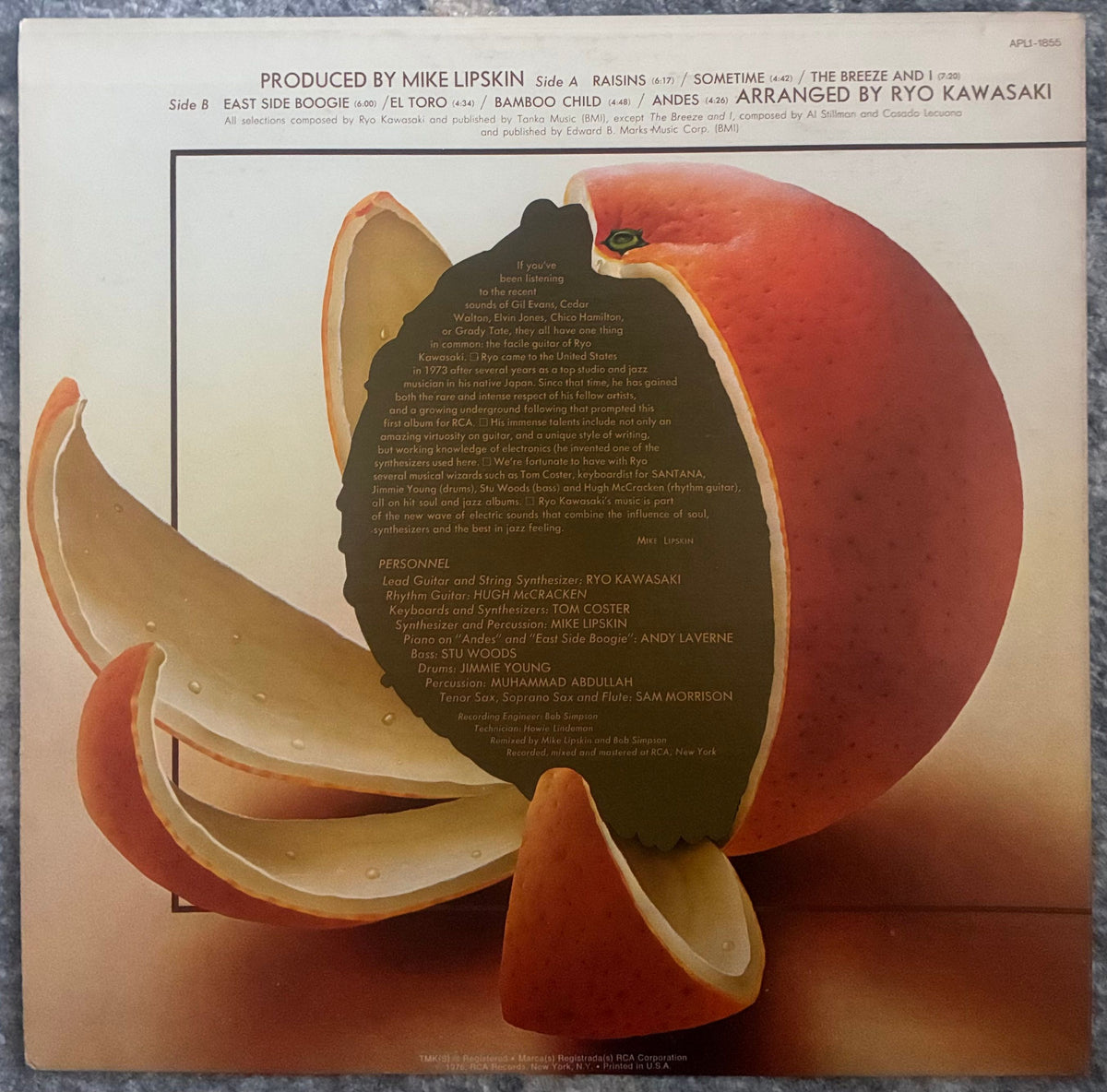 Ryo Kawasaki = 川崎燎 – Juice – Galapagos Records