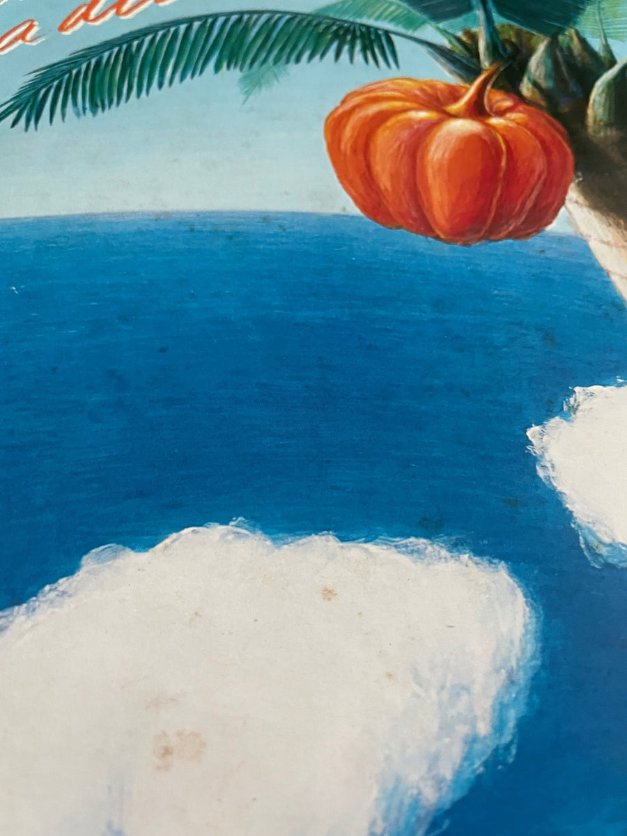 Super Pumpkin - Pumpkin Paradise – Galapagos Records