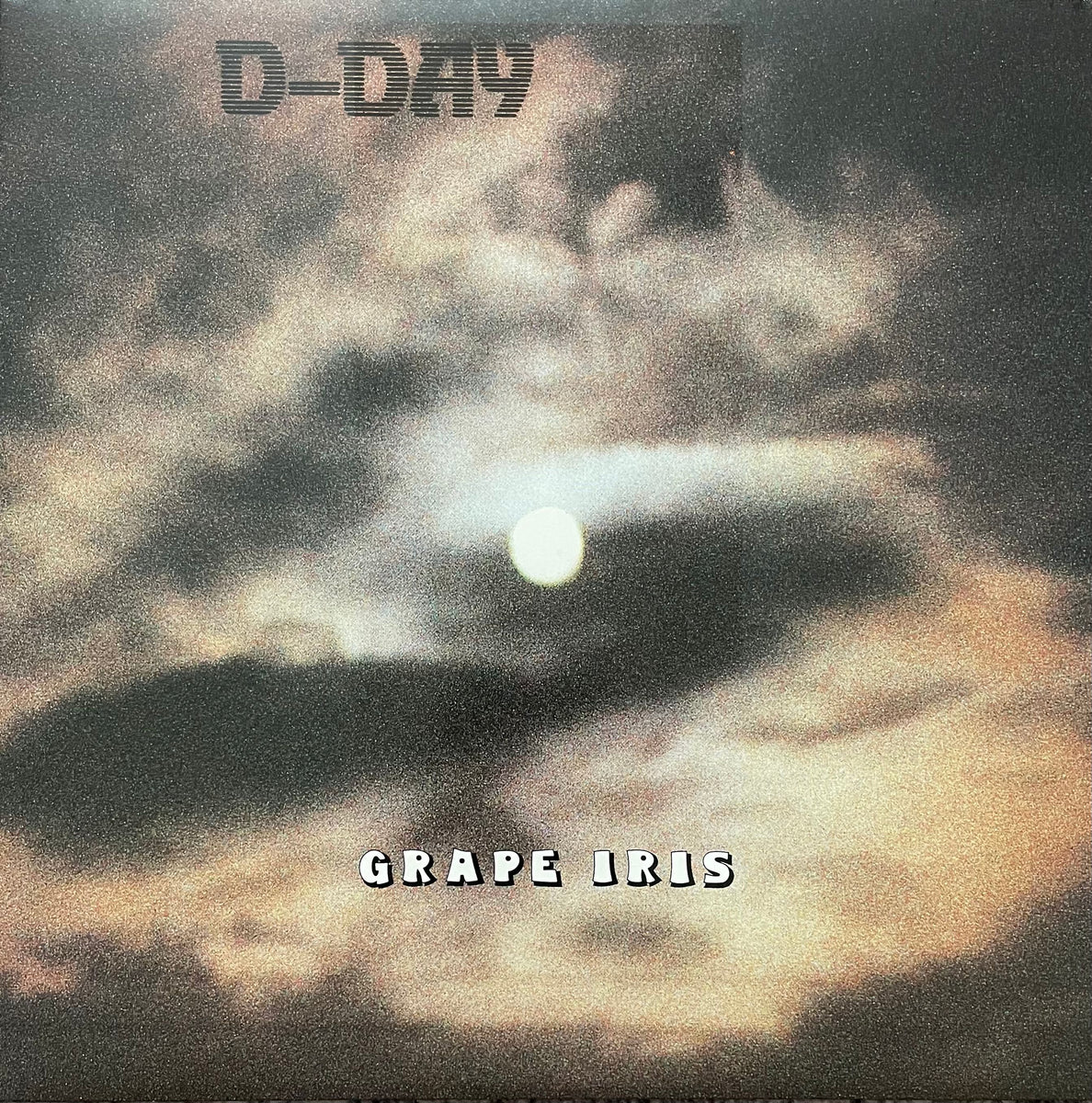 D-day Grape Iris LP Japanese New Wave with Picture Disc | eBay