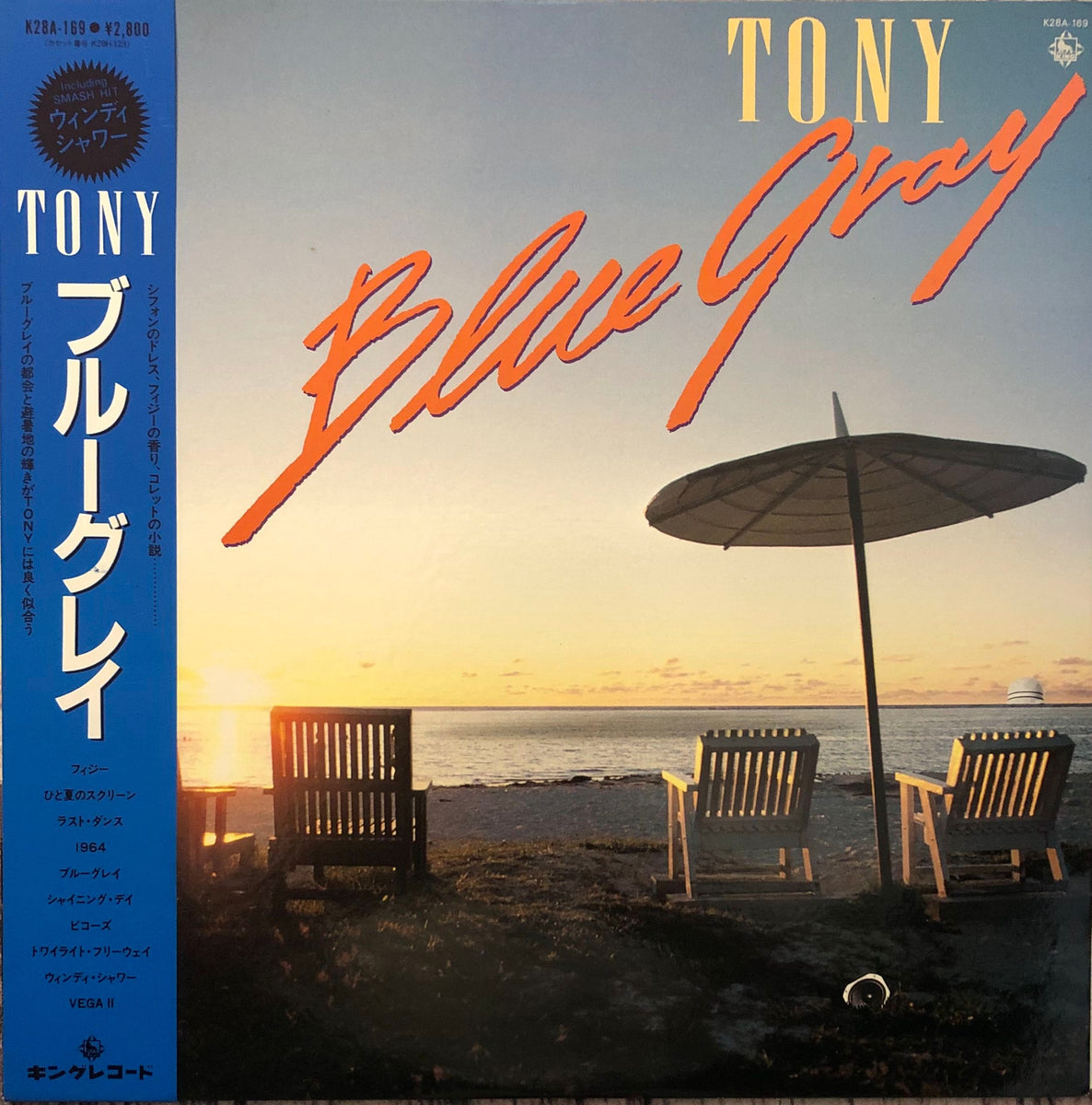 TONY Blue Gray (LP レコード) RARE PROMO !! cpN5NaLQ_1200x1200.jpg?v=