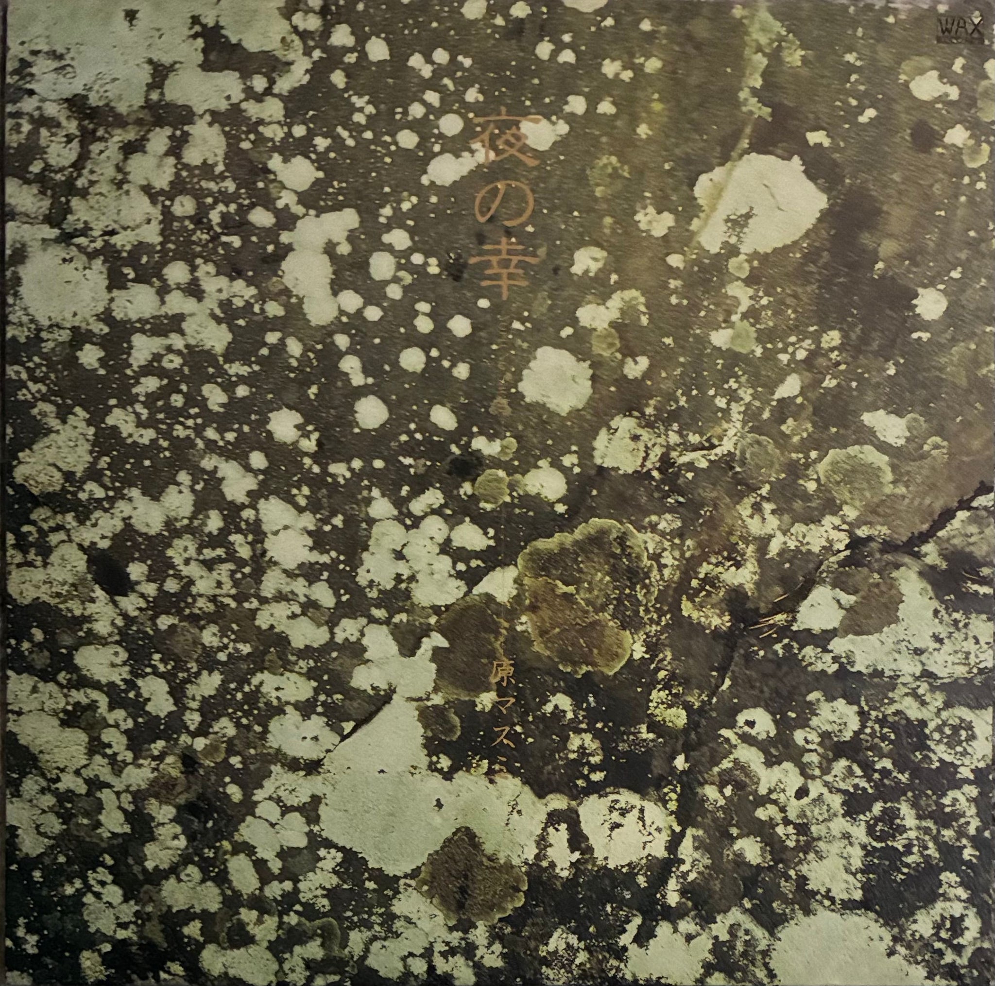 Masumi Hara = 原マスミ – 夜の幸 – Galapagos Records