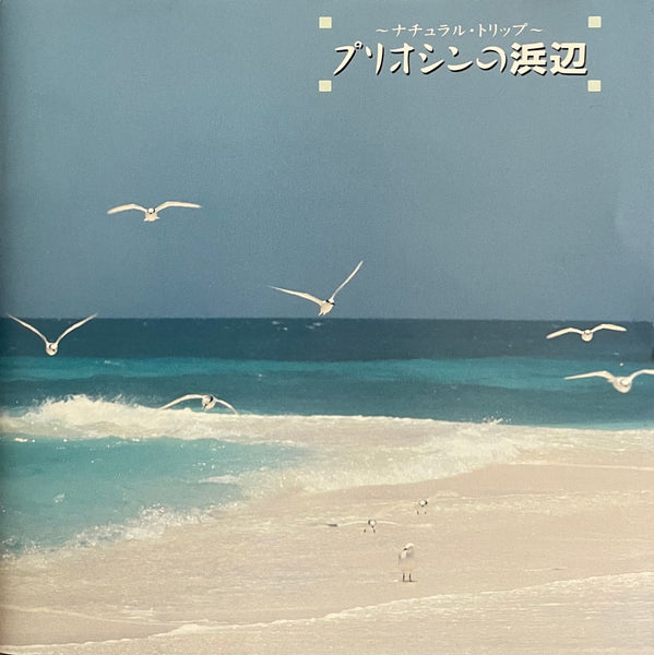 Kenichiro Isoda = 磯田健一郎 – プリオシンの浜辺