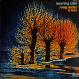 Morning Calm – Song Under A Tree