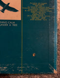 Morning Calm – Song Under A Tree
