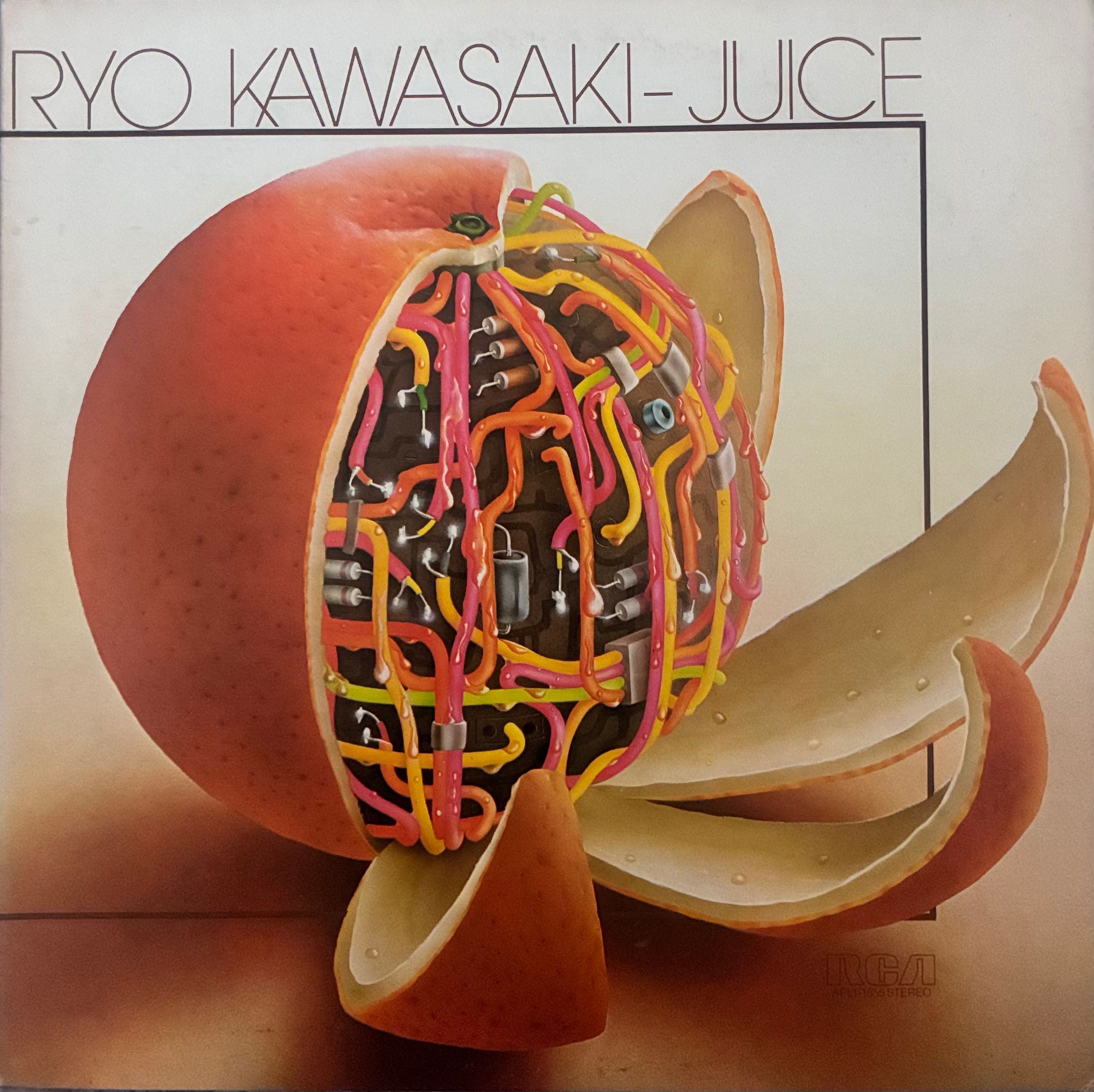 Ryo Kawasaki - Juice | NEWTONE RECORDS