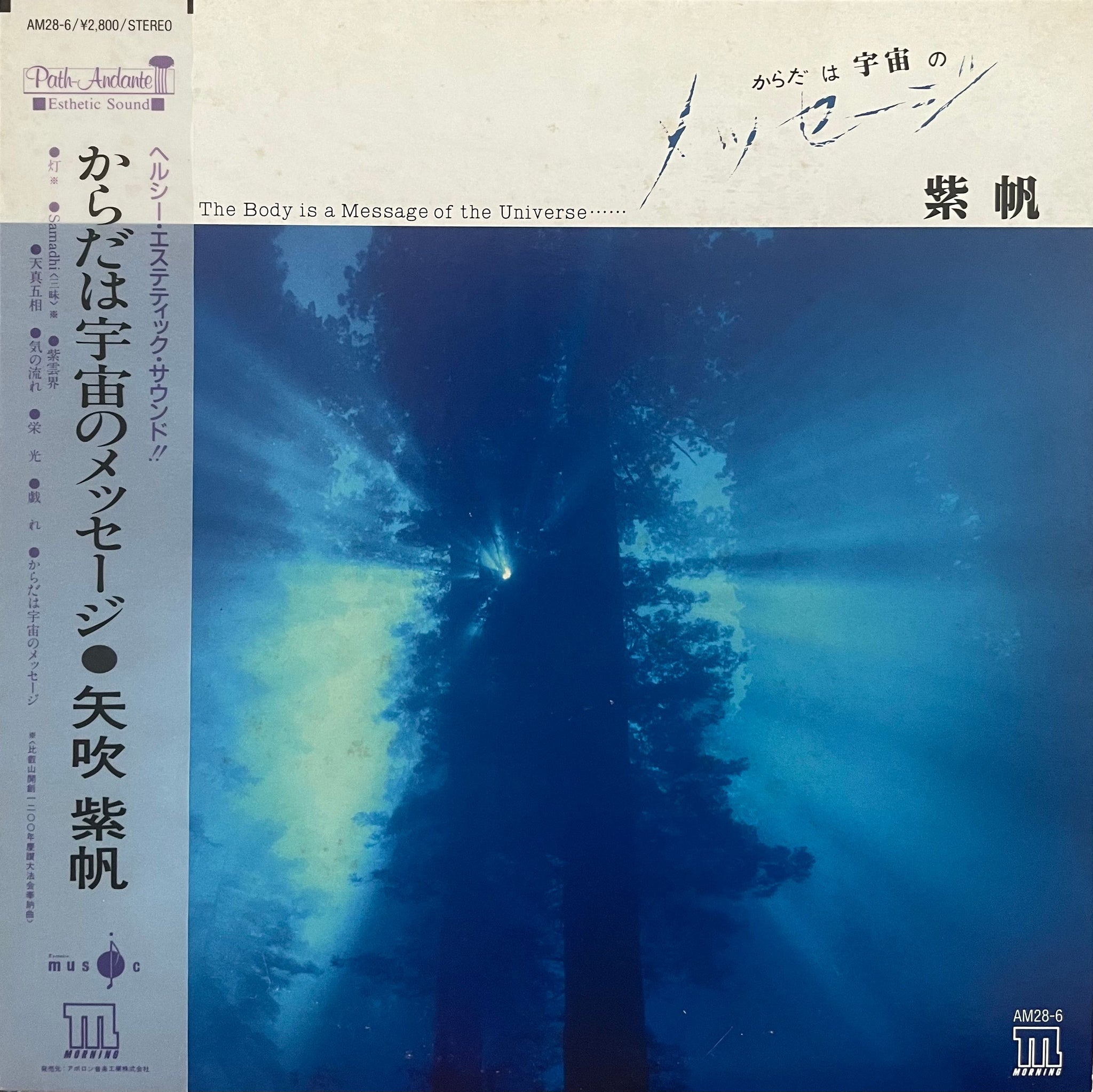 Shiho Yabuki = 矢吹紫帆 – The Body Is A Message Of The Universe = からだは宇宙のメ –  Galapagos Records