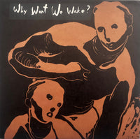 The Makers Of The Dead Travel Fast – Why Won't We Wake ?