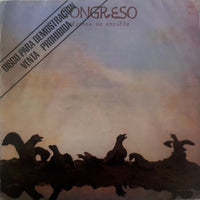 Congreso – Pájaros De Arcilla