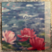 World Standard - S.T.