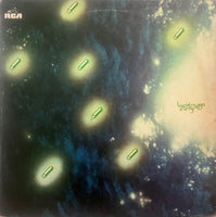 Luciérnaga Curiosa – S.T.