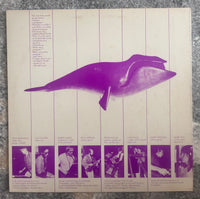 Interspecies Music – Whalescapes