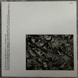 Takuji Nomoto = 野本卓司 – Dimension