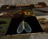 Various – A Musical Wildlife Vol.2 Dramatic