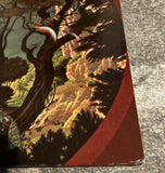 Masayoshi Takanaka = 高中正義 – The Rainbow Goblins