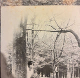 Sasara = ささら ‎– 上京娘