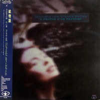 Benjamin Lew / Steven Brown – A Propos D'Un Paysage