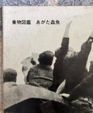 Morio Agata = あがた森魚 – 乗物図鑑