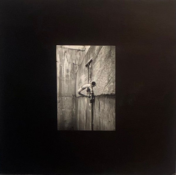 The Pickle Factory – Our Pledge