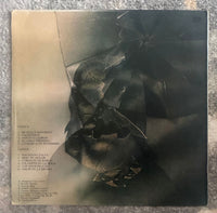 Adrián Abonizio – Los Años Felices　