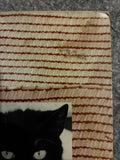 Balaio De Gato – S.T.