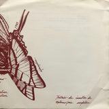 Rolando Chia, Darsel Salinas – Tratado De Insectos De Metamorfosis Completas
